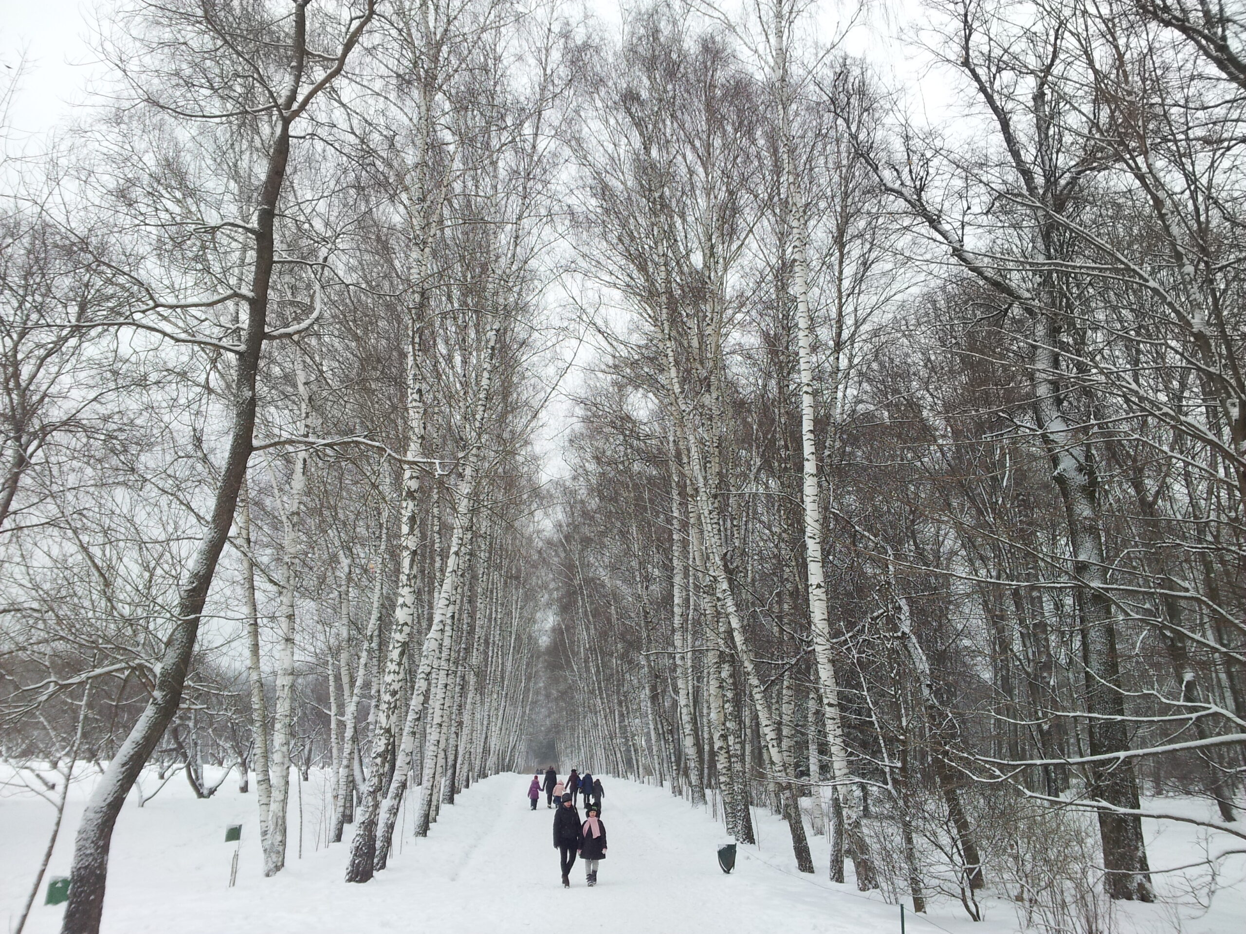 Featured Post Image - Tu, ragazza che hai paura del freddo