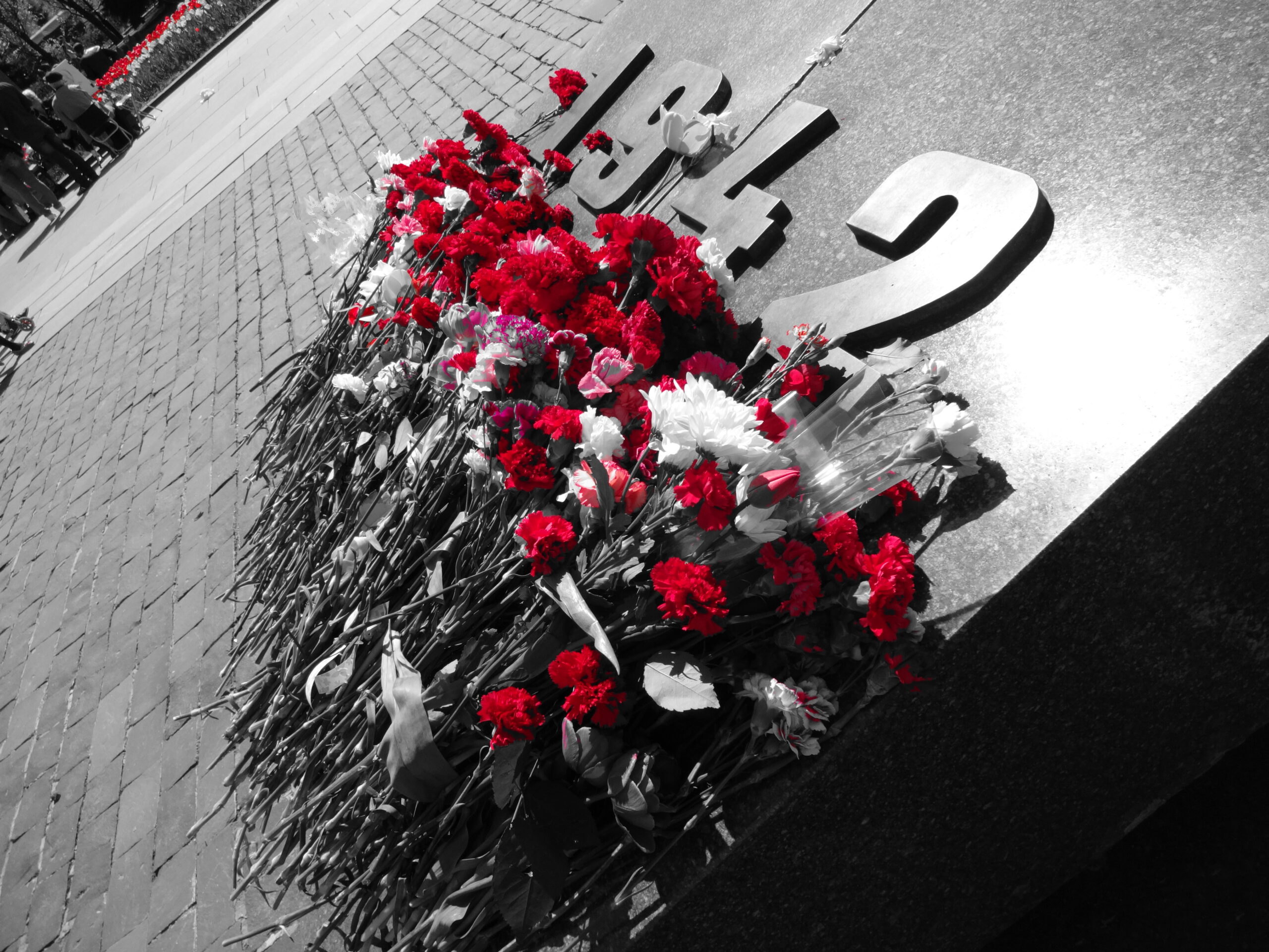 Featured Post Image - Grazie, veterani